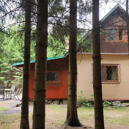 Hébergement de vacances Na Samote U Lesa