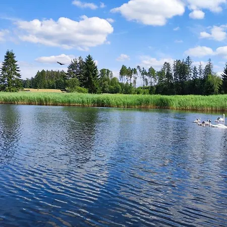 Hébergement de vacances Na Samote U Lesa