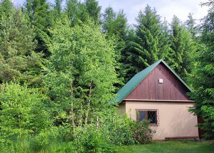 Holiday home Na Samote U Lesa *